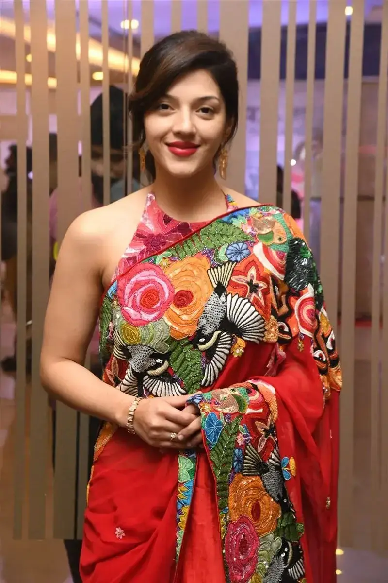 Mehreen Pirzada Red Saree at Spark LIFE Movie Trailer Launch